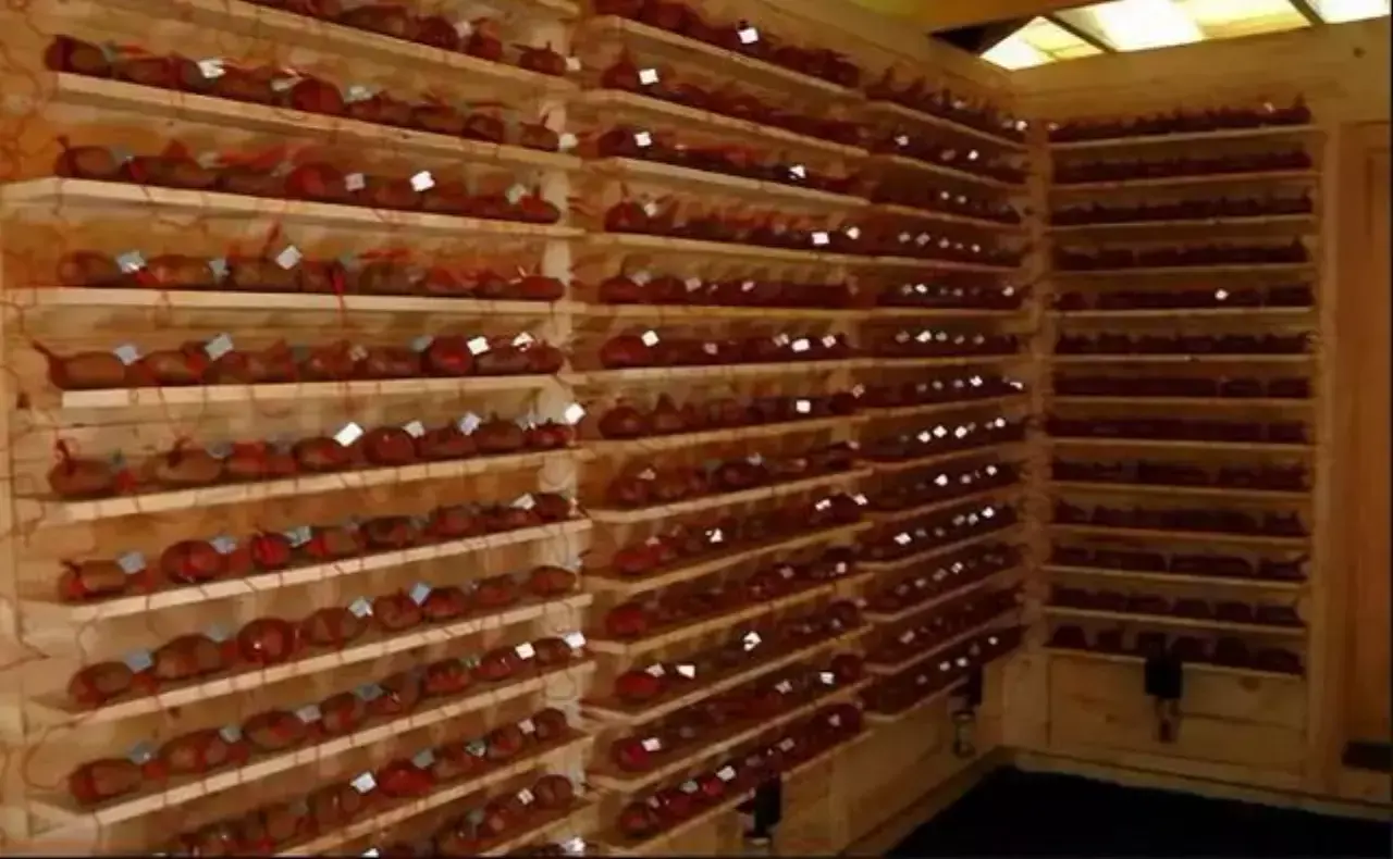 和平精英助手_和平精英辅助脚本_和平精英脚本辅助